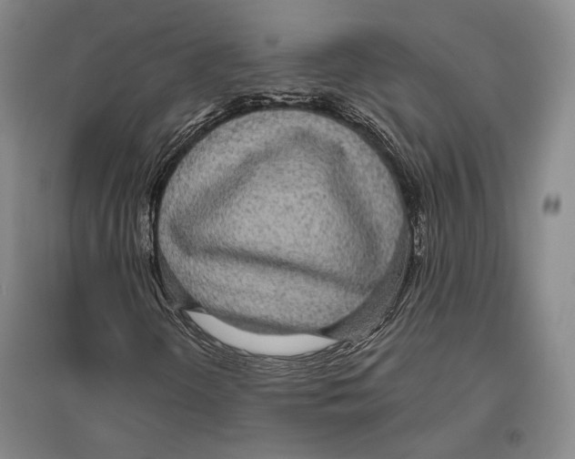X0000096631298200803041055