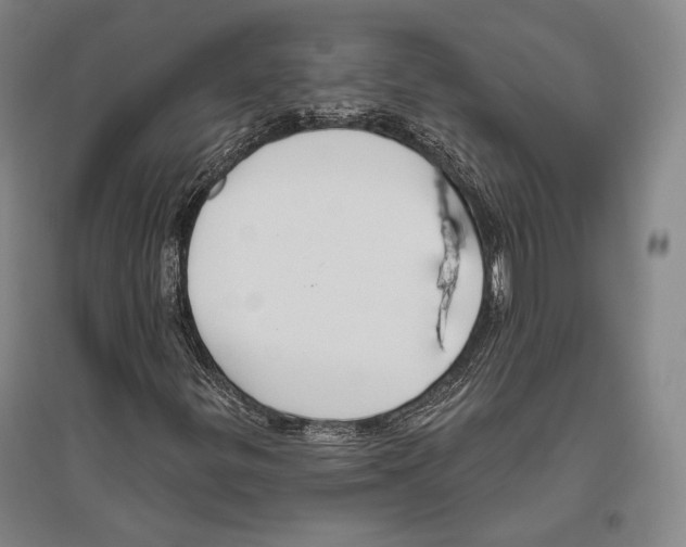 X0000096631299200803041055