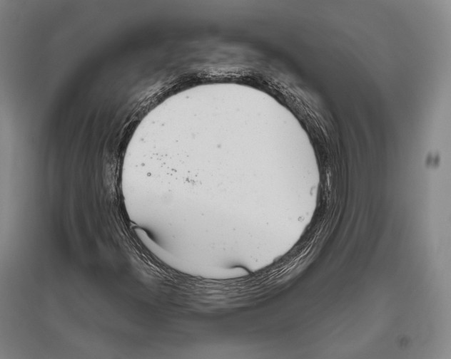 X0000096631300200803041055