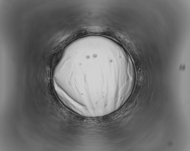 X0000096631301200803041055