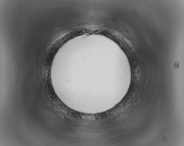 X0000096631302200803041055