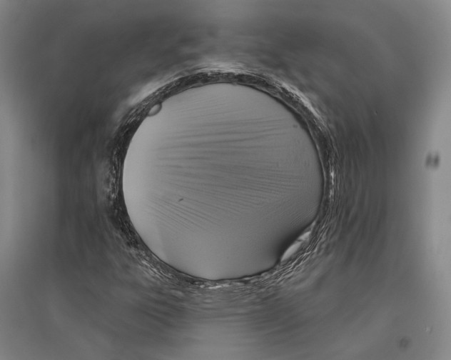 X0000096631303200803041055