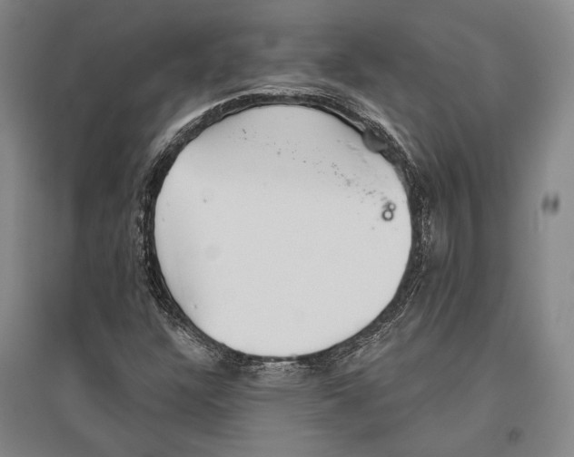 X0000096631304200803041055
