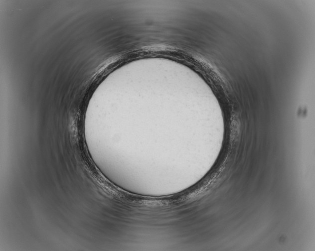 X0000096631305200803041055