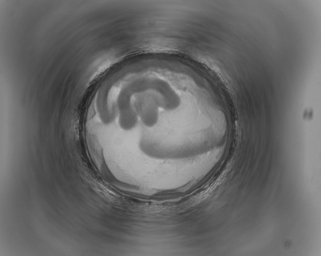 X0000096631306200803041055
