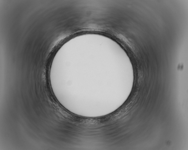 X0000096631307200803041055