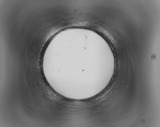 X0000096631308200803041055