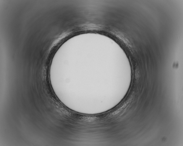 X0000096631309200803041055