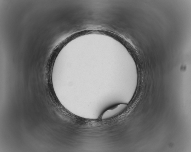 X0000096631311200803041055