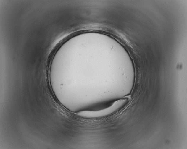 X0000096631312200803041055
