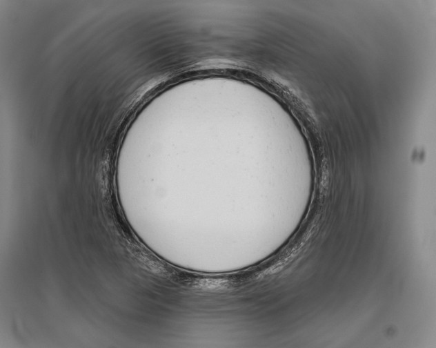 X0000096631313200803041055