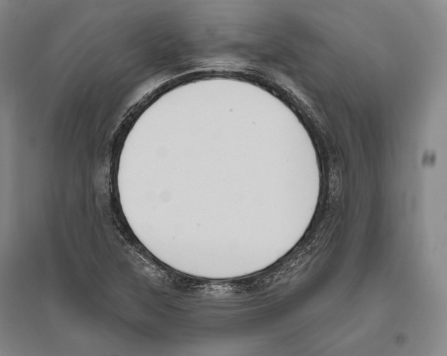 X0000096631315200803041056