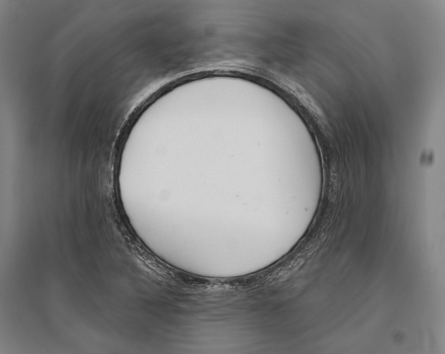 X0000096631316200803041056