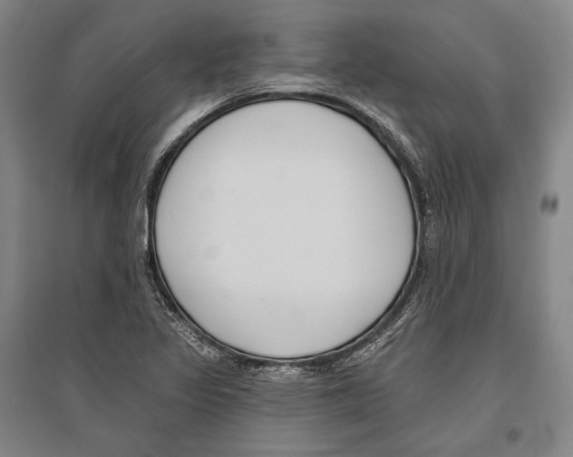 X0000096631317200803041056