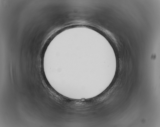 X0000096631318200803041056