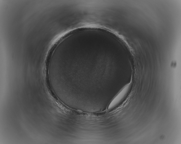 X0000096631319200803041056