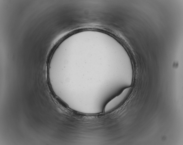 X0000096631320200803041056
