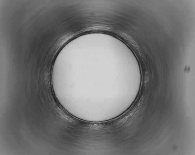 X0000096631321200803041056