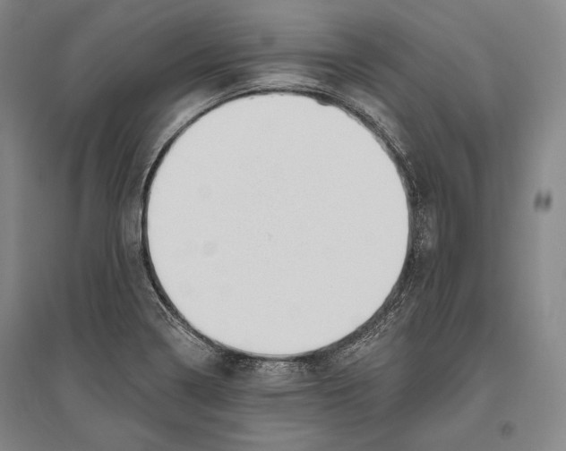 X0000096631322200803041056
