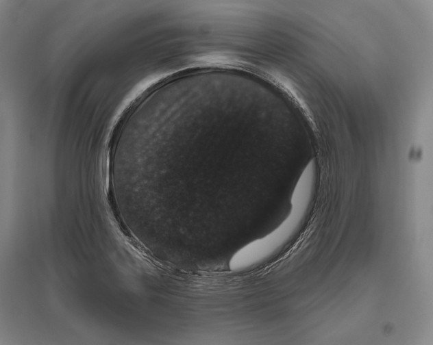 X0000096631323200803041056