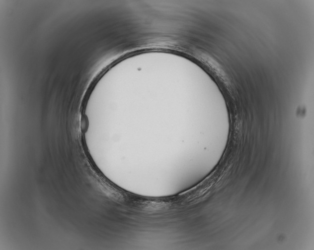 X0000096631324200803041056