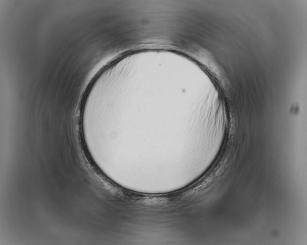 X0000096631325200803041056