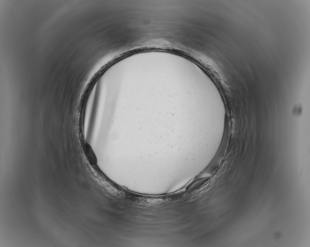 X0000096631326200803041056