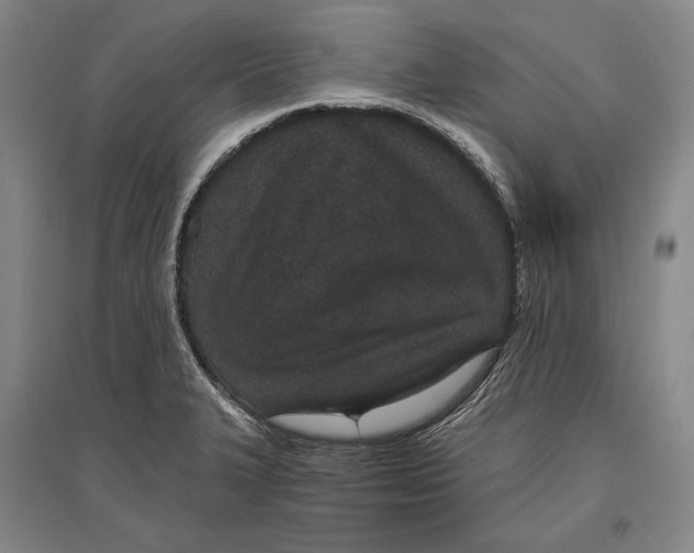 X0000096631327200803041056