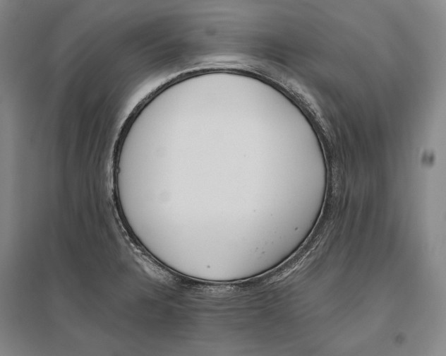 X0000096631328200803041056
