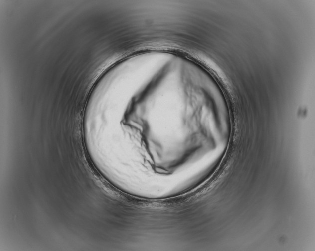 X0000096631329200803041056