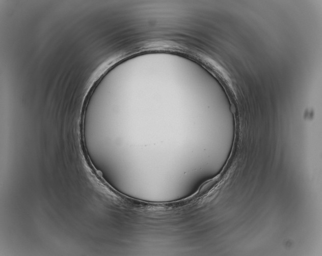 X0000096631330200803041056