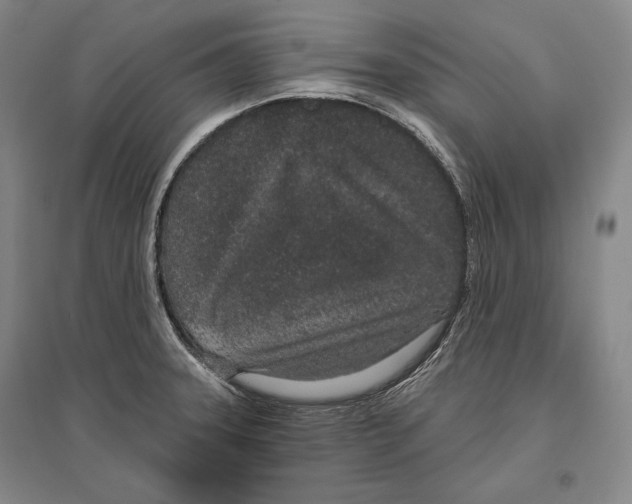 X0000096631331200803041056