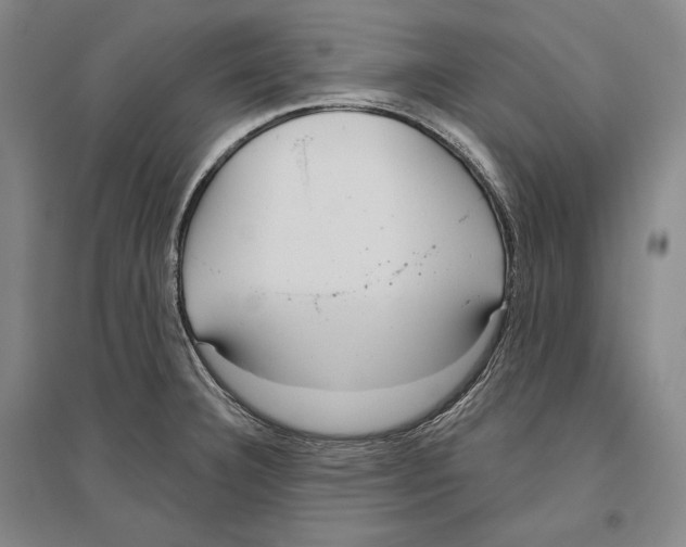 X0000096631332200803041056
