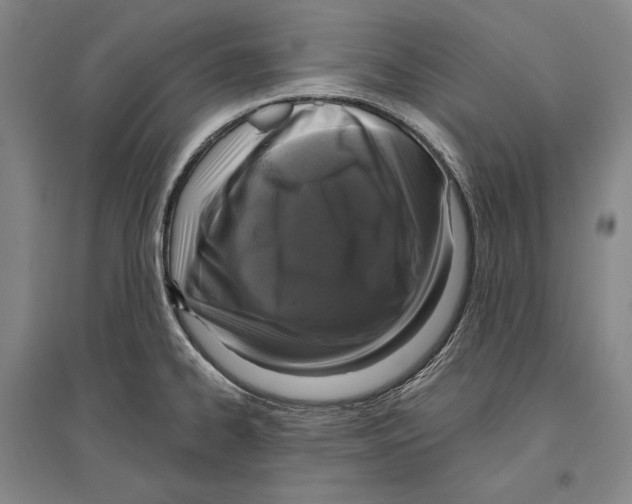 X0000096631334200803041056