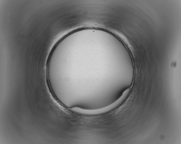 X0000096631335200803041056