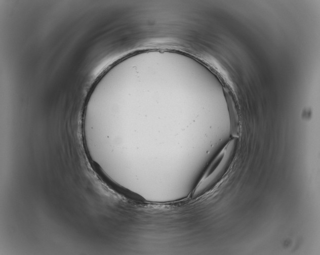 X0000096631336200803041056