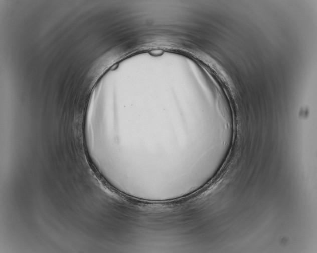 X0000096631337200803041056