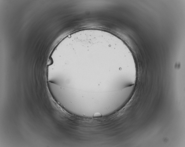X0000096631338200803041056