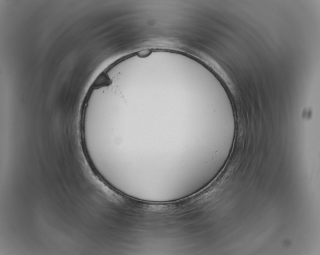 X0000096631339200803041056