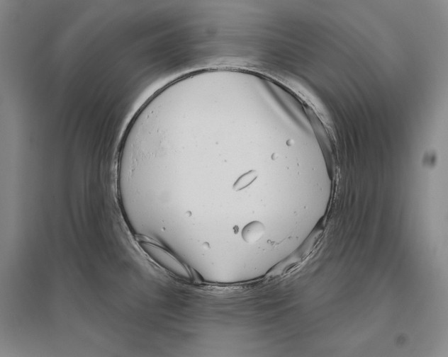 X0000096631340200803041056
