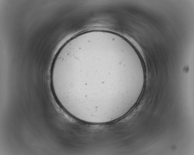 X0000096631341200803041056