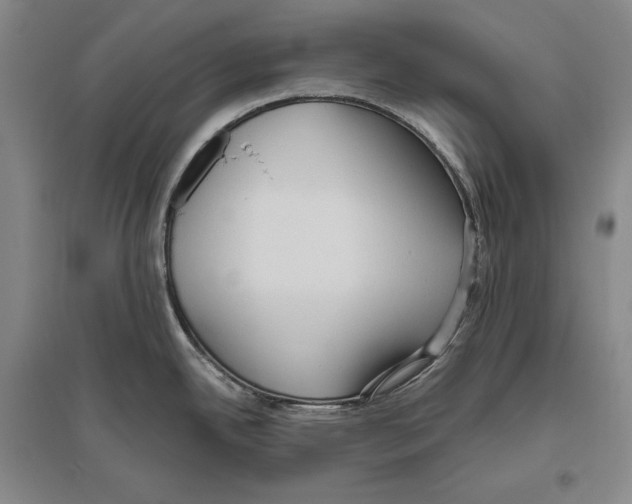 X0000096631342200803041056