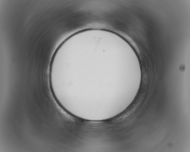 X0000096631343200803041056