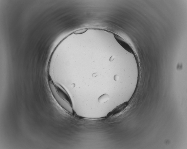 X0000096631344200803041056