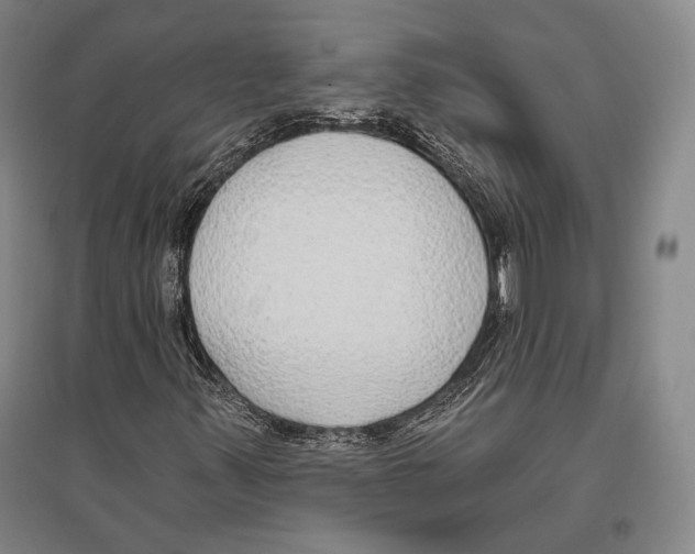X0000096631347200803041055