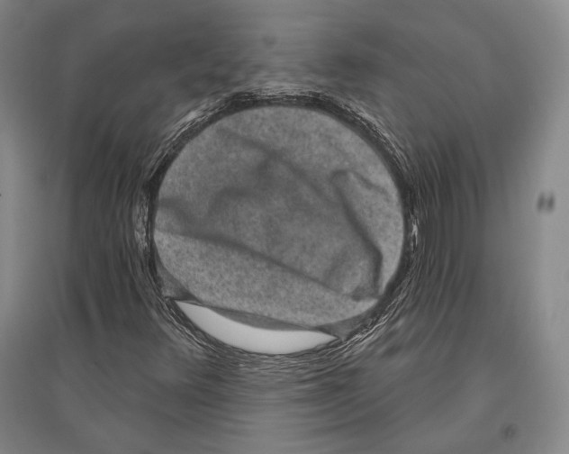 X0000096631348200803041055