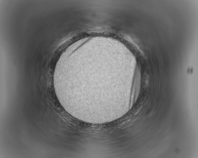 X0000096631350200803041055
