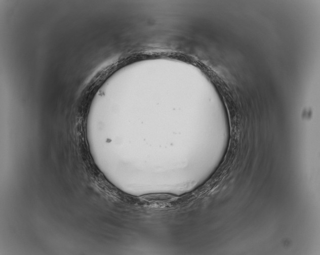 X0000096631351200803041055