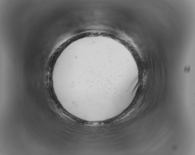 X0000096631352200803041055