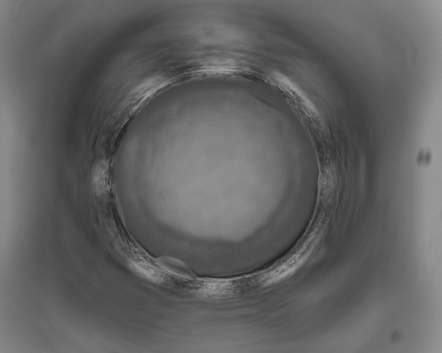 X0000096631353200803041055